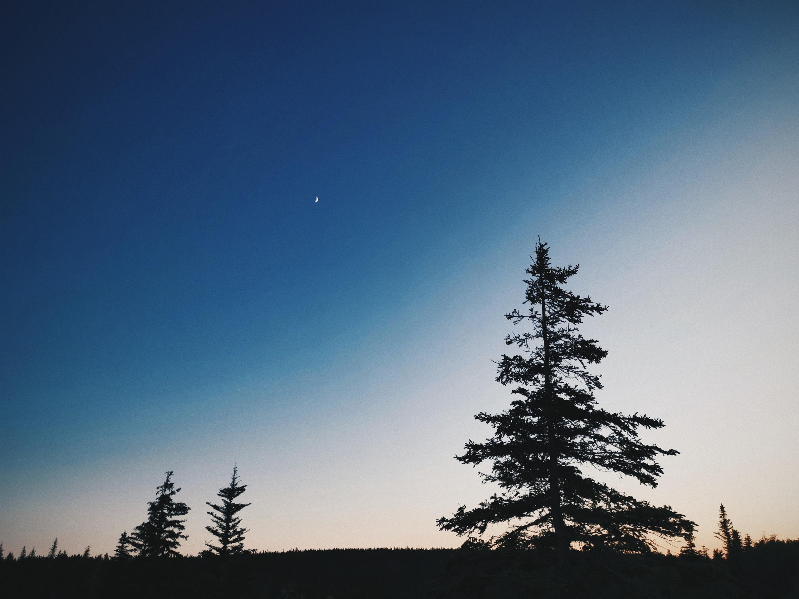 2019 07 07 11.13.35 1